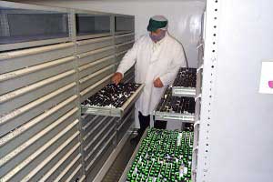 Bespoke mobile shelving system