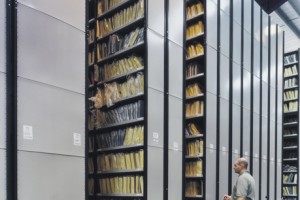 Mobile_Euro_Shelving